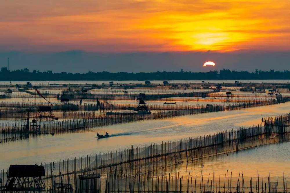 דאם צ'ואן (Dam Chuon) – ציור של שקט ושקיעה